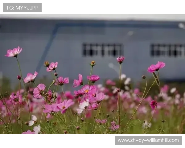 以秋风代言的游戏角色揭示背后独特的文化符号与情感寄托